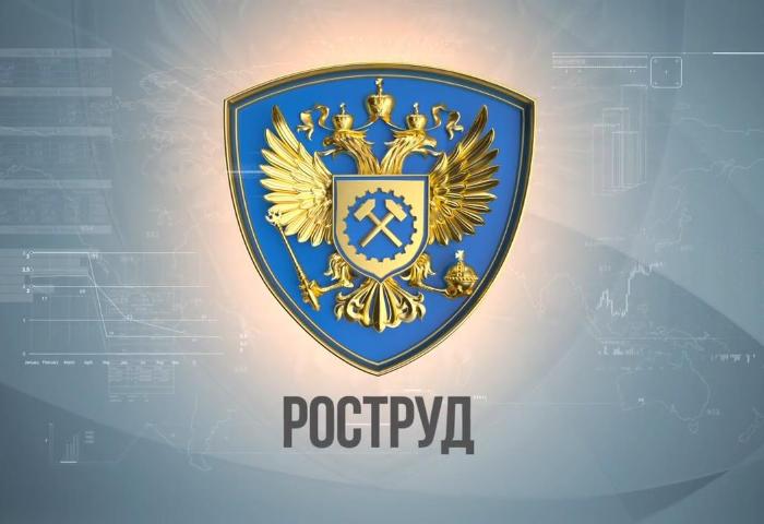 Роструд вводит проверочные листы